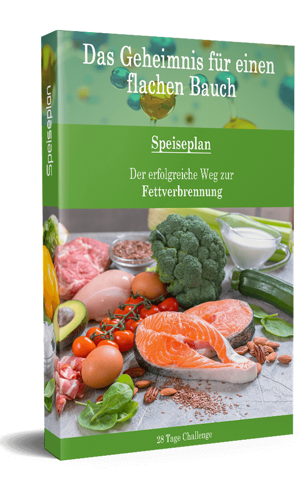 Buch4_web